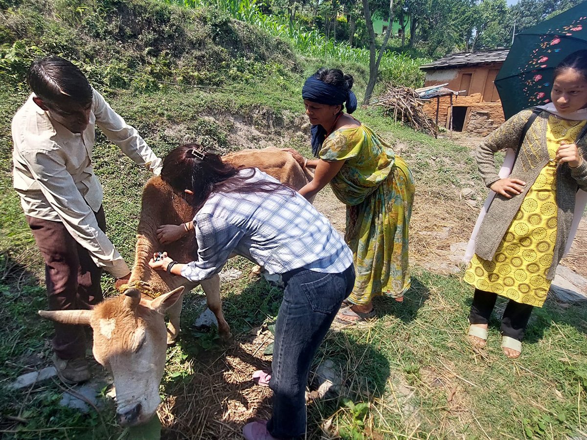 डिलाशैनी–५ का टोलटोलमा कृषि र पशु स्वास्थ्य प्राविधिक 
